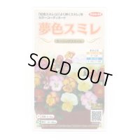 送料無料　花の種　パンジー　夢色スミレ　モーニングスマイル　約50粒　(株)サカタのタネ　実咲500（105173）