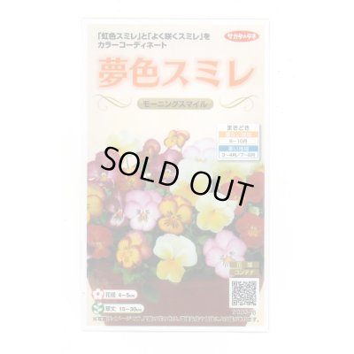 画像1: 花の種 パンジー 夢色スミレ モーニングスマイル 約50粒 (株)サカタのタネ 実咲500（105173）
