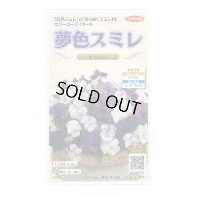画像1: 花の種 パンジー 夢色スミレ オーシャン 約50粒 (株)サカタのタネ 実咲500（105174）