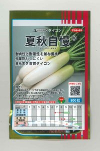 [大根] 夏秋自慢 800粒 (株)サカタのタネ