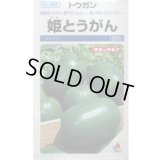 送料無料　[瓜類]　姫とうがん　100粒　タキイ種苗(株)