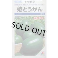 送料無料　[瓜類]　姫とうがん　100粒　タキイ種苗(株)
