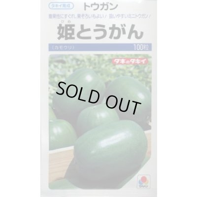 画像1: 送料無料　[瓜類]　姫とうがん　100粒　タキイ種苗(株)