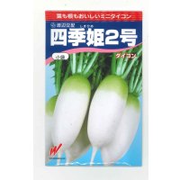 送料無料　[大根]　四季姫2号　120粒　渡辺交配