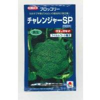 送料無料　[ブロッコリー]　チャレンジャーSP　2,000粒　タキイ種苗(株)