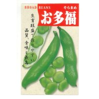 [そら豆]　お多福　1dl　丸種種苗（株）