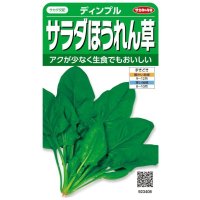送料無料　[ほうれんそう]　サラダほうれん草　ディンプル　約750粒　(株)サカタのタネ　実咲250（003006）