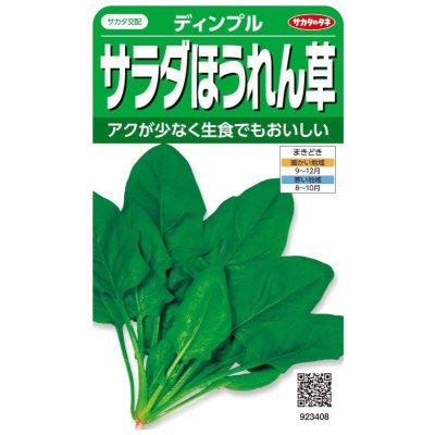 画像1: 送料無料　[ほうれんそう]　サラダほうれん草　ディンプル　約750粒　(株)サカタのタネ　実咲250（003006）