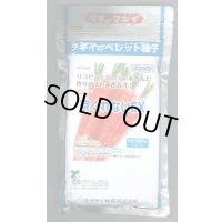 [人参] 送料無料 京くれないEX ペレット種子1万粒 タキイ種苗(株)