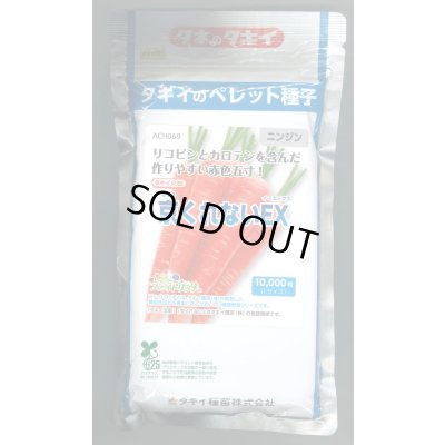 画像1: [人参] 送料無料 京くれないEX ペレット種子1万粒 タキイ種苗(株)