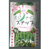 送料無料　[えんどう]　サヤエンドウ　スジナインスナップ　200粒　トキタ種苗(株)