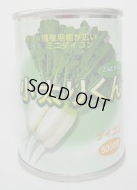 [大根]　小太りくん　5000粒（コートしていません）　雪印種苗(株)