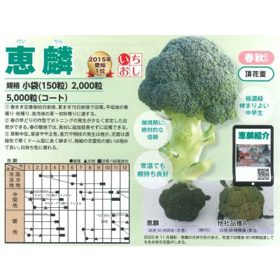 画像6: 送料無料　[ブロッコリー]　恵麟　2000粒　トキタ種苗(株)