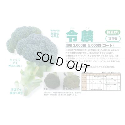 画像2: 送料無料　ブロッコリー　令麟　2000粒　トキタ種苗(株)