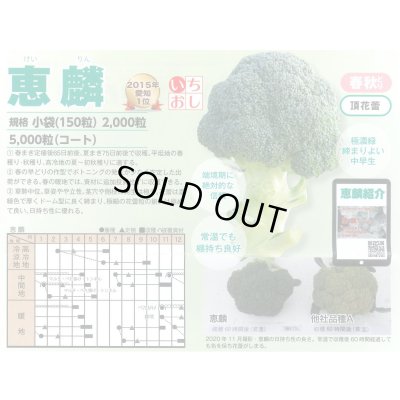 画像5: 送料無料　[ブロッコリー]　恵麟　コート5千粒　トキタ種苗(株)