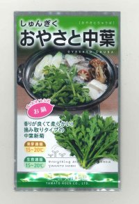 送料無料　[春菊]　おやさと中葉　30ml　（株）大和農園