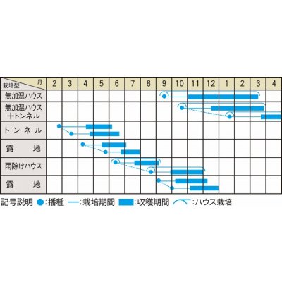 画像3: 送料無料　[春菊]　おやさと中葉　30ml　（株）大和農園