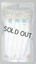 送料無料　[大根]　冬神楽　2dl　タキイ種苗(株)