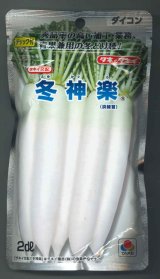 送料無料　[大根]　冬神楽　2dl　タキイ種苗(株)