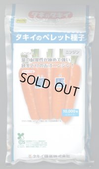 送料無料[人参]　優馬　ペレット種子　1万粒　タキイ種苗(株)