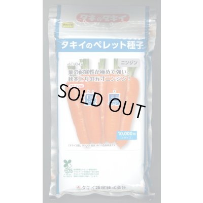 画像1: 送料無料[人参]　優馬　ペレット種子　1万粒　タキイ種苗(株)