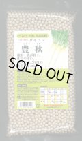 大根　豊秋　ペレット（種子サイズ：3L）　5000粒　カネコ種苗（株）