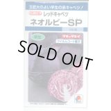 送料無料　[キャベツ]　ネオルビーSP　150粒　タキイ種苗(株)　DF