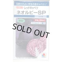 送料無料　[キャベツ]　ネオルビーSP　150粒　タキイ種苗(株)　DF