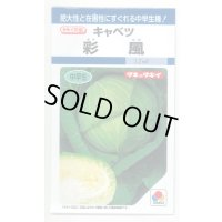 [キャベツ] 彩風 　1.1ml 　 タキイ種苗(株) DF