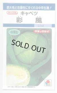 [キャベツ] 彩風 　1.1ml 　 タキイ種苗(株) DF