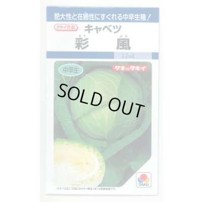 画像1: [キャベツ] 彩風 　1.1ml 　 タキイ種苗(株) DF