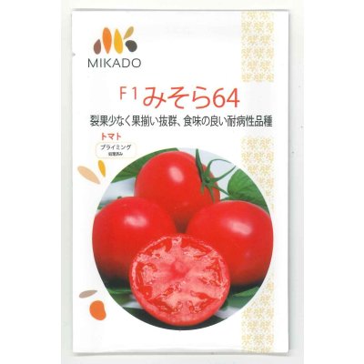 画像1: 送料無料　[トマト]　大玉トマト　みそら64　1100粒　ヴィルモランみかど