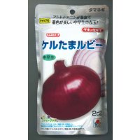 送料無料　[たまねぎ]　ケルたまルビー　2dl　タキイ種苗(株)
