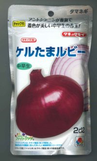 送料無料　[たまねぎ]　ケルたまルビー　2dl　タキイ種苗(株)