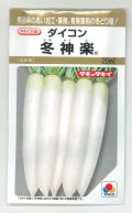 送料無料　[大根]　冬神楽　20ml　タキイ種苗(株)