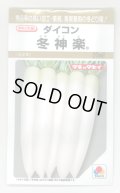 送料無料　[大根]　冬神楽　20ml　タキイ種苗(株)