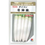 送料無料　[大根]　冬神楽　20ml　タキイ種苗(株)