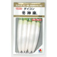 送料無料　[大根]　冬神楽　20ml　タキイ種苗(株)