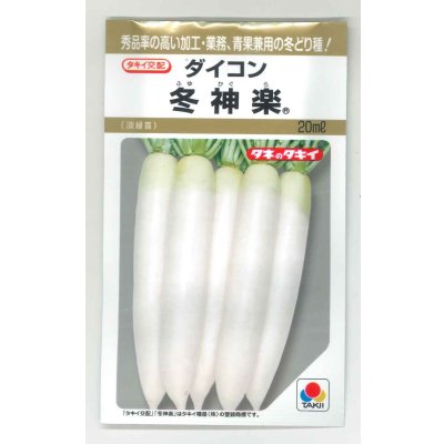 画像1: 送料無料　[大根]　冬神楽　20ml　タキイ種苗(株)