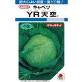 送料無料　[キャベツ]　YR天空　約150粒　タキイ種苗（株）　DF