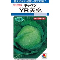 送料無料　[キャベツ]　YR天空　約150粒　タキイ種苗（株）　DF