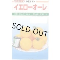 送料無料　[トマト/中玉トマト]　イエローオーレ　100粒　カネコ種苗（株）