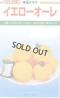 送料無料　[トマト/中玉トマト]　イエローオーレ　100粒　カネコ種苗（株）
