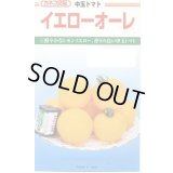 送料無料　[トマト/中玉トマト]　イエローオーレ　1000粒　カネコ種苗（株）