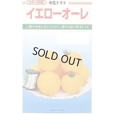画像1: 送料無料　[トマト/中玉トマト]　イエローオーレ　1000粒　カネコ種苗（株）