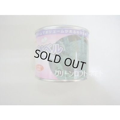 画像1: 送料無料　[ブロッコリー]　ウィンベル　コート5000粒　渡辺農事（株）