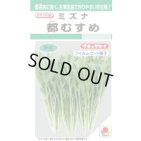水菜 都むすめ 4ml タキイ種苗(株) GF