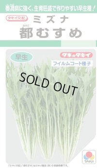 水菜 都むすめ 4ml タキイ種苗(株) GF
