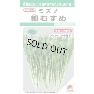 画像1: 水菜 都むすめ 4ml タキイ種苗(株) GF