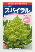 [カリフラワー]　スパイラル　1000粒　渡辺農事